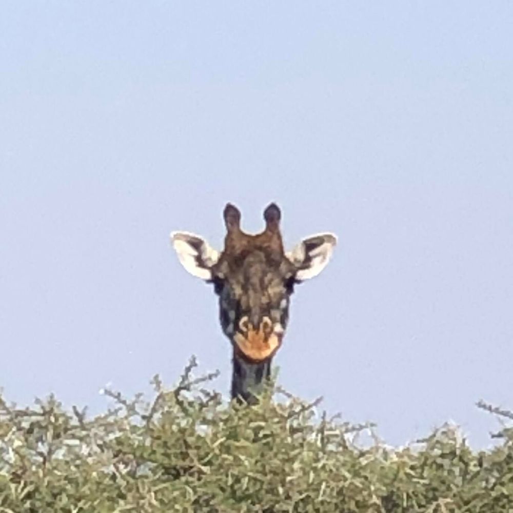 Meet your Posher, Sherry